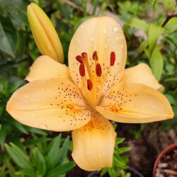 Niq3bIiDMOpFEdMcwoNwyDw7JFIzHo2S-cgnHHQ1-P_wHOvMH7blZixGdky6KI1-ohTufjuVvm6IOV50KTZgaU79d8f30abc10614951