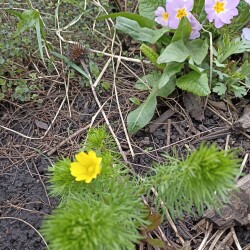 ADONIMG_20240419_1408409029021f7a5418b0