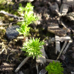 P12107476d4a9b140cf622db