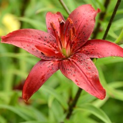 aekSEhzBrZOxI_z-amk9QFia3PZjRB2AzkJmpP0qfxhSUVDO5jzJylgz9NW_O54Hz3nzoI9g287524d986f41f18c