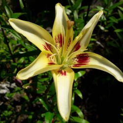 YFE56NgM3iFmwunK4O1hu2U620USocpo6o01VyGoNE5oED9zZIxdqXHbKmuWmZYkYVi4SQwq5UUigGgQhdxKoaem44ce6ac81cc1a9d7