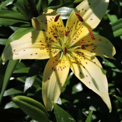 52379227912_b65f5e71cd_b2248edbe0b7df24c