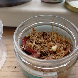 IMG_20251221_14153397496d05558aacc3