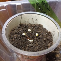 IMG_20251222_125759594a2b6cd0073449