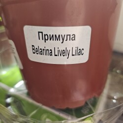 20260227_214805b4db93557e22cdd5