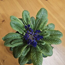 20260228_184309e2e98833f956b6ba