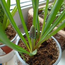 IMG_20260309_141844d342b8ea3ca472ce