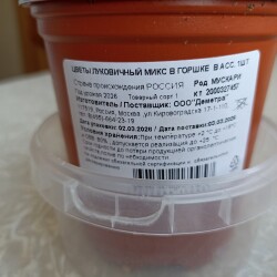 IMG_20260310_1152599623c1e44e39e34f