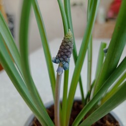 IMG_20260310_115315d3b187a2c878ba8f