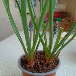 IMG_20260310_11533791a4ed672e7678e2