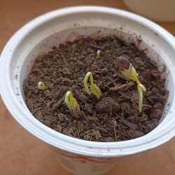 IMG_20260311_121329f237c82aa7f47935