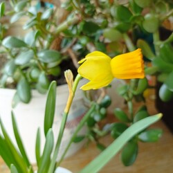 IMG_20260317_0853294ea952a2a5164e79