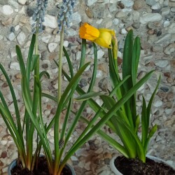 IMG_20260317_085808a1b6742963ed5159