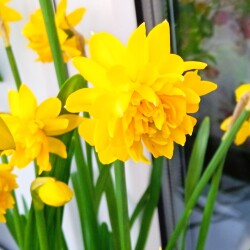 boucle-23-marbf6ab88bd89c312c