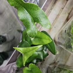 20260324_1332554eadf49beb686c0e