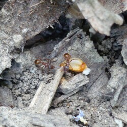 KOPIY-P1230194fed2096ee6d62864