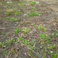 IMG_20260327_11393833e049eb986467f0