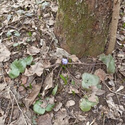 IMG_20260401_12022635e813d508f2567a