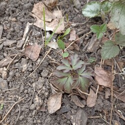 IMG_20260401_123431733b7f52d4b71cfe