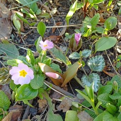 IMG_20260403_171215b2150fab109e3b11