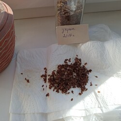 IMG_20260404_0913154743f7b0d0cb4b50