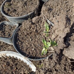 IMG_20260404_11543755bd0aedf761f8bc