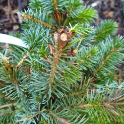 20260405_135011a0f4c11e8666106d