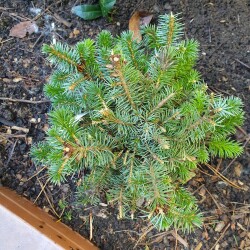 20260405_135016ee947d41967c94e9