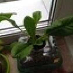 no-name-8-apr29c47fc6712ebe07