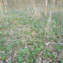 IMG_20250422_174359ae7c7f53ee0ed40f