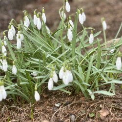 IMG_138818b333c6759102fc