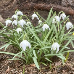 IMG_1389cd06d4e802b292eb