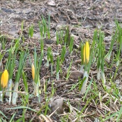 IMG_1391a1756a1c79fe4a77