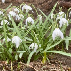 IMG_13925a4254b005771878