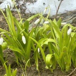 IMG_1393dd9c18c8ae757ff3