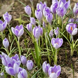 IMG_13955fbf4cc85c736513