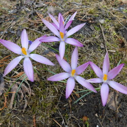 DSCN28799dc83c5ad16bd195