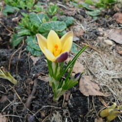 DSCN2885c34cea0bac790dc3