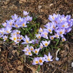 DSCN2888eb3d13b0dc76eb26