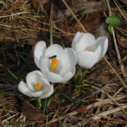 DSCN2894a6f9b94a93c62711