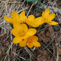 DSCN28956a1b71dc02d84482