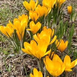 IMG_1415a0b2db9e3d5f64e7