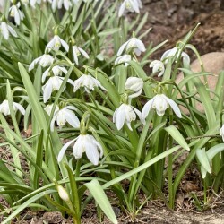 IMG_141603de78039b18c650