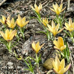 IMG_141804d728cc60a572b4