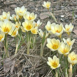 IMG_1433086e048fd6d97c0a