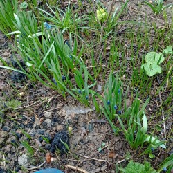 IMG_20260416_093542447089430a4f3891