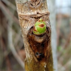 pink-sport-19-aprb687e54857f274ef