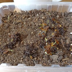 IMG_20260322_120929bcd3a2bdb8e97353