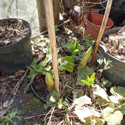 IMG_20260422_105827c21a2703254efcc0