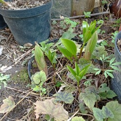 IMG_20260422_162556bc2bf45eafbbd655